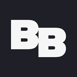 Logo Brave Bison Ltd.
