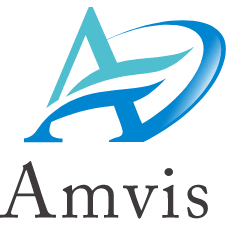 Logo Amvis Holdings, Inc.