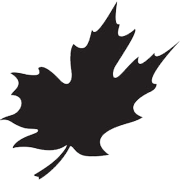 Logo Canadian Metals Inc.