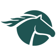 Logo Equus Mining Limited
