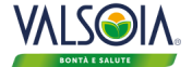 Logo Valsoia S.p.A.