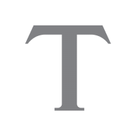 Logo Triton Holding