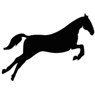 Logo Chastain Horse Park Ltd.