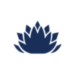 Logo Metalicity Ltd.