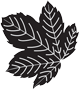 Logo Seasons Textiles Ltd.