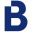 Logo Bionic Services Ltd.
