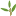 Logo Phyllom BioProducts Corp.
