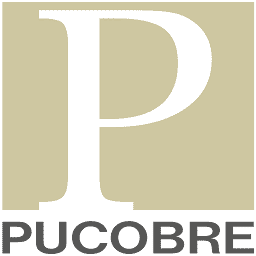 Logo Sociedad Punta del Cobre SA