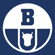 Logo Boryszew SA