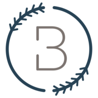 Logo Briban Invest AB