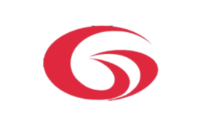 Logo G-Vision International (Holdings) Ltd.