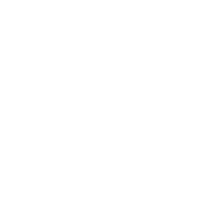 Logo Universidad Mayor de San Simón