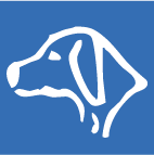 Logo Aun Consulting, Inc.