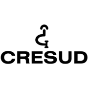 Logo Inversiones y Representaciones SA