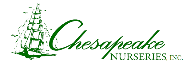 Logo Chesapeake Nurseries, Inc.