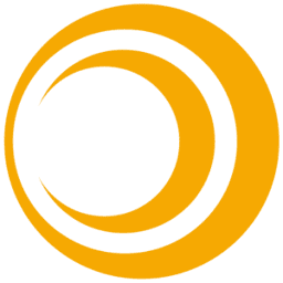 Logo OKins Electronics Co., Ltd.