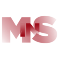 Logo MSIN doo