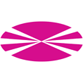 Logo University of A Coruña