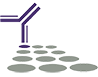 Logo Southern Biotechnology Associates, Inc.