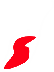 Logo Jamón y Salud SA