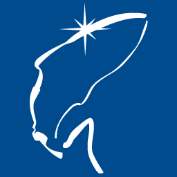 Logo Ellingsen Seafood AS