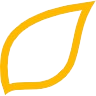 Logo Syngenta Agro SRL