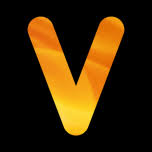 Logo Vue Services Ltd.