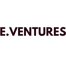 Logo e-Ventures, Inc.