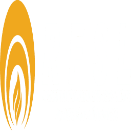 Logo Richfield Financial Services Ltd. (India)
