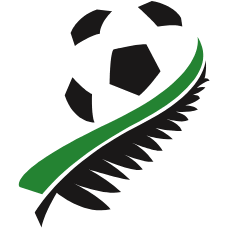 Logo The New Zealand Football Foundation