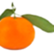 Logo Tangerine Tango Environmental Attributes Services Corp.