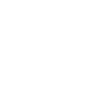 Logo Paragon Marketing Group LLC