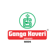 Logo Ganga Kaveri Seeds Pvt Ltd.