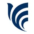 Logo Rayliant Global Advisors Ltd.