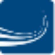 Logo BSS Capital