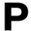 Logo The Pace Gallery LLC