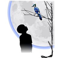 Logo Bluebird Productions