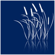 Logo Patoka Capital LLC