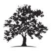Logo White Oak ABL LLC