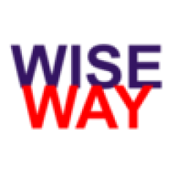 Logo Wiseway Group Ltd.
