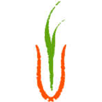 Logo Farmacy Plc