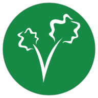 Logo Advocates For A Healthy Community, Inc.