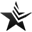 Logo Estars LLC