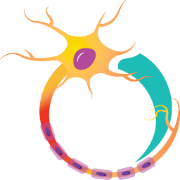 Logo Oculis ehf