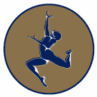 Logo African American Art & Culture Complex