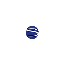 Logo Stackpole Powertrain International GmbH