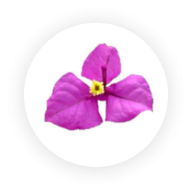 Logo Numa Numa Resources Ltd.