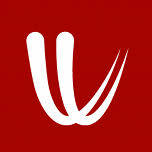 Logo Windyty, SE