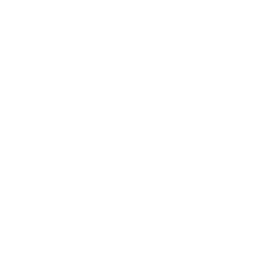 Logo Loco Plus LLC