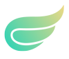 Logo Learn To Fly